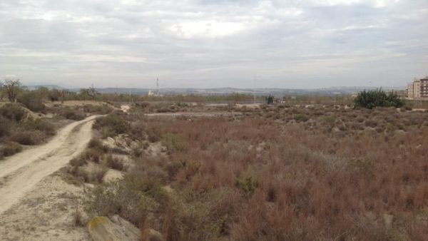 Plot of Land 10,000m2 in San Miguel de Salinas with Permission to Build a Detached Villa – Costa Blanca